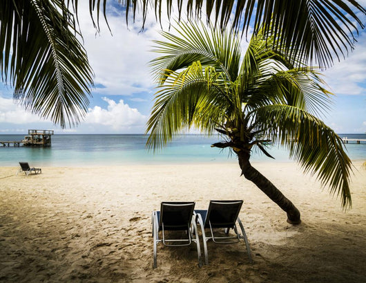 Tropical paradise 