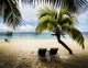 Tropical paradise 