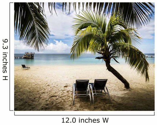 Tropical paradise 