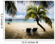 Tropical paradise 