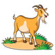 Goat Cartoon Wall Decal
