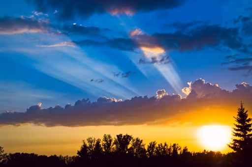 Sun Beam Wall Decal