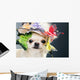 Dog Funny Cap Wall Decal