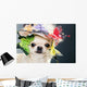 Dog Funny Cap Wall Decal