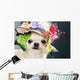 Dog Funny Cap Wall Decal