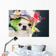 Dog Funny Cap Wall Decal