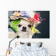 Dog Funny Cap Wall Decal
