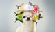 Funny Animal Wall Decal