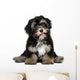 Funny smiling black and tan havanese puppy dog Wall Decal