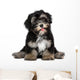 Funny smiling black and tan havanese puppy dog Wall Decal