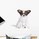 Little Puppy Papillon on a White Background 