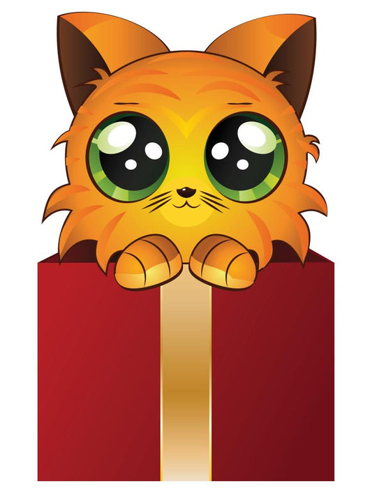 Red Kitten in a Box 