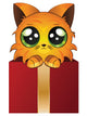 Red Kitten in a Box 