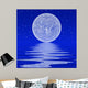 Moon and Reflection 