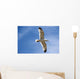 Backlit Seagull Wall Mural