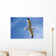 Backlit Seagull Wall Mural