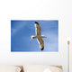Backlit Seagull Wall Mural