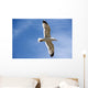 Backlit Seagull Wall Mural