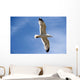Backlit Seagull Wall Mural