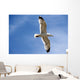 Backlit Seagull Wall Mural