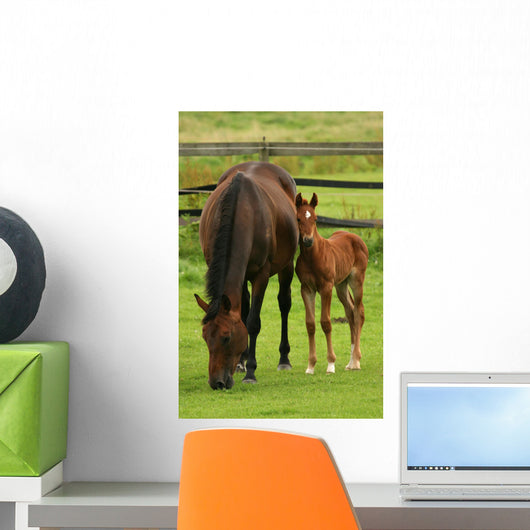 Horses Wall Mural
