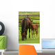 Horses Wall Mural