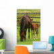 Horses Wall Mural