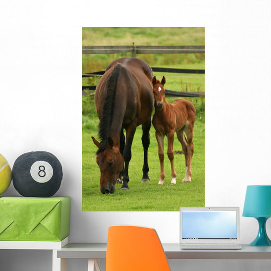 Horses Wall Mural