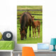 Horses Wall Mural