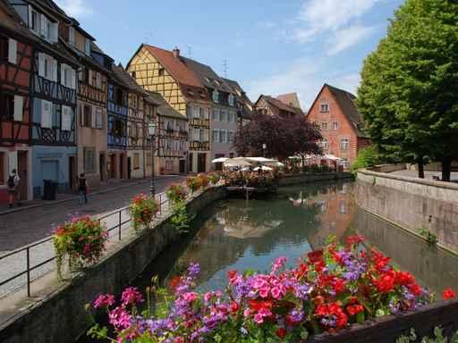 Colmar Wall Decal