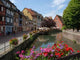 Colmar Wall Decal