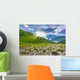Alpine meadows in the Caucasus mountains. Wall Mural