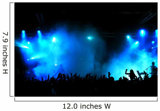 Cheering crowd at concert, musicians on the stage Wall Mural