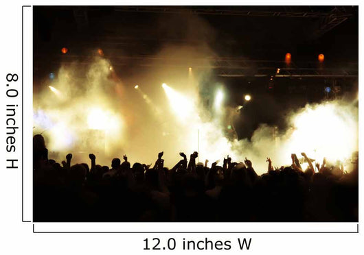 Cheering crowd at concert, musicians on the stage Wall Mural