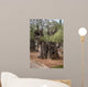 Gethsemane gardens 