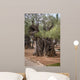 Gethsemane gardens 