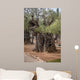 Gethsemane gardens 