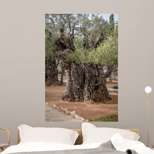 Gethsemane gardens 