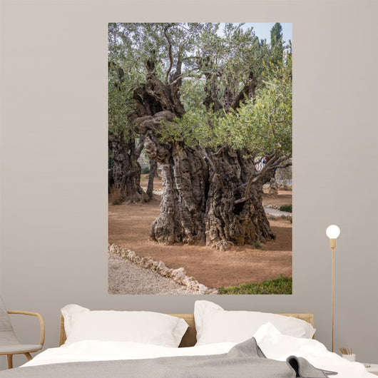 Gethsemane gardens 