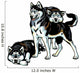 Three Siberian Husky Dogs Wall Decal