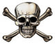 Skull and Crossbones Icon 