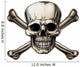 Skull and Crossbones Icon 