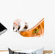 film strip spiral Wall Mural
