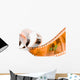 film strip spiral Wall Mural