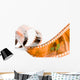 film strip spiral Wall Mural