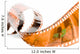 film strip spiral Wall Mural