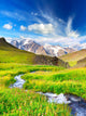 River on the mountain field at the summer time 