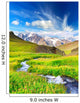 River on the mountain field at the summer time 