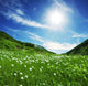 Mountain Meadow Wall Decal Design 1
