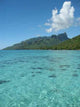 Moorea Wall Decal Design 1